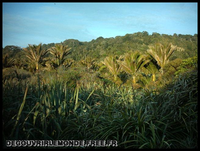 Nouvelle Zelande/images/03 New Zealand West Coast Punakaiki IMAG3246	