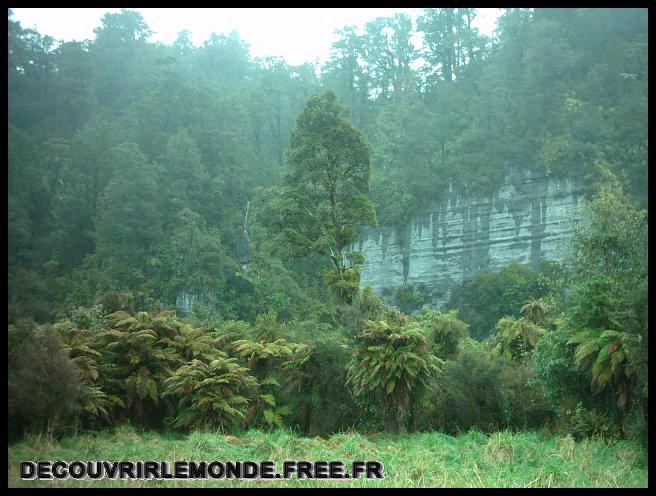 Nouvelle Zelande/images/03 New Zealand West Coast Punakaiki IMAG3256	