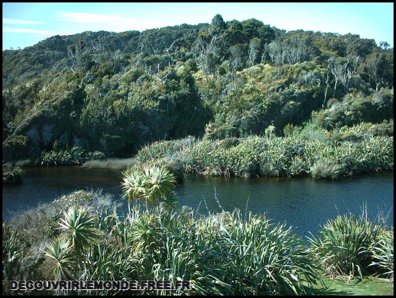 Nouvelle Zelande/images/05 New Zealand Haast Pass IMAG3339	