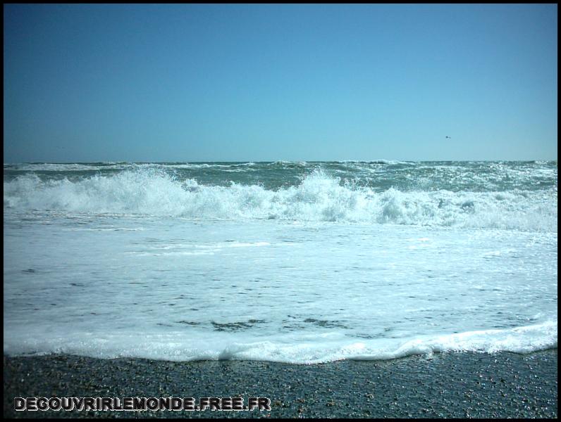 Nouvelle Zelande/images/05 New Zealand Haast Pass IMAG3342	