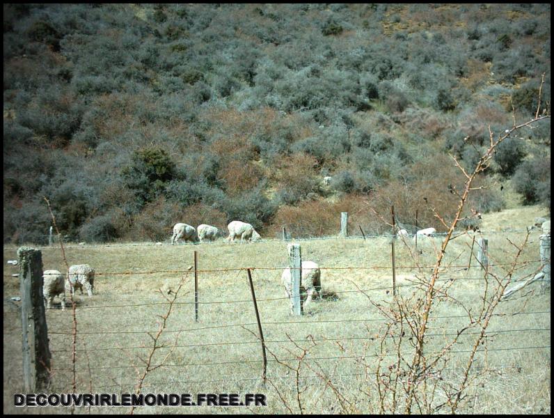 Nouvelle Zelande/images/08 New Zealand Cardrona Vers Queenstown IMAG3427	