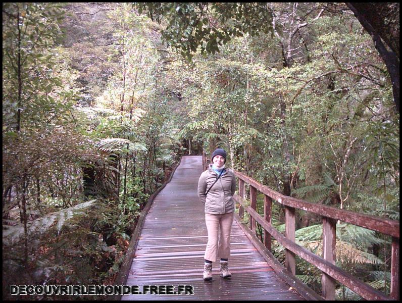 Nouvelle Zelande/images/11 New Zealand Milford Sound IMAG3539	