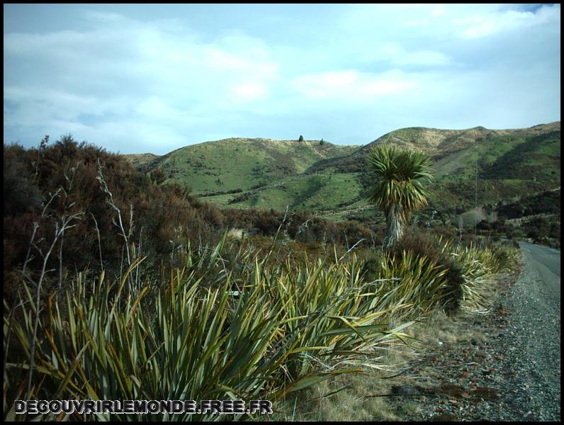 Nouvelle Zelande/images/13 New Zealand Clifden IMAG3580	