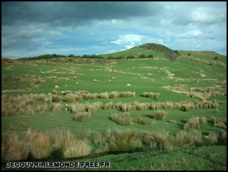 Nouvelle Zelande/images/13 New Zealand Clifden IMAG3592	