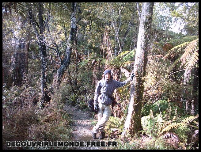 Nouvelle Zelande/images/14 New Zealand Tuatapere Hump Ridge track IMAG3606	