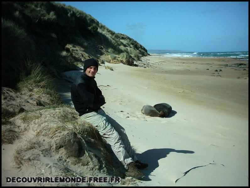 Nouvelle Zelande/images/17 New Zealand Catlins Waipapa Point IMAG3627	