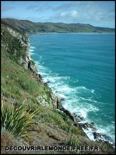 Nouvelle Zelande/images/19 New Zealand Catlins Nuggets Point IMAG3658	