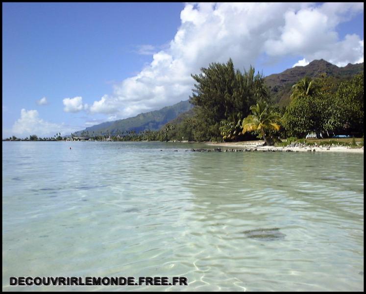 Polynesie Francaise/images/Ile de MOOREA 1	