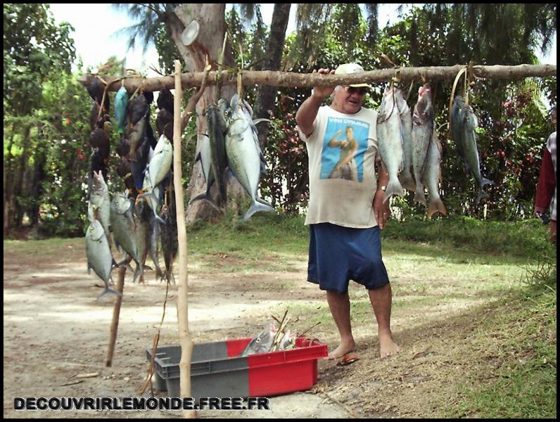 Polynesie Francaise/images/Ile de MOOREA poissons	