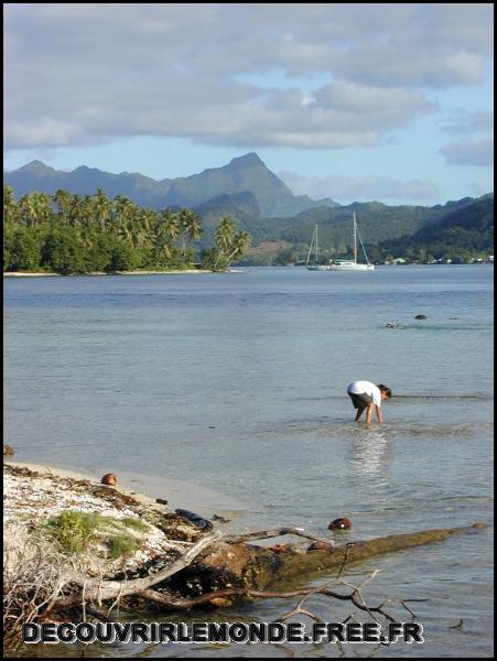 Polynesie Francaise/images/Ile de RAIATEA 12	