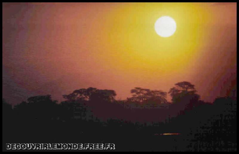 Precedents voyages/images/Savane Africaine	