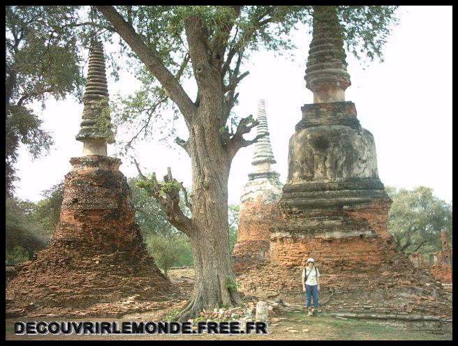 Thailande/images/02 TH Ayutthaya a Trat IMAG0328[1]	