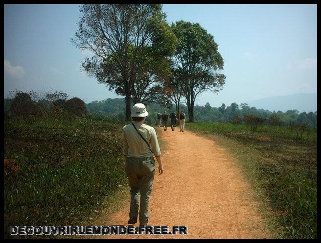 Thailande/images/02 TH Ayutthaya a Trat IMAG0411[1]	