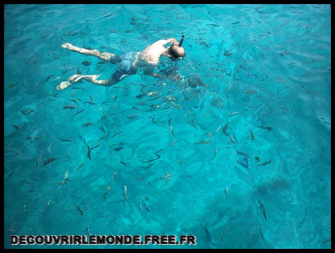 Thailande/images/03 TH KoChang IMAG0549 Ko Chang Snorkeling	