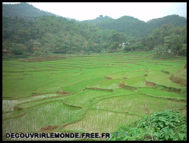 Vietnam Hanoi Sapa Tour En Moto/images/IMAG1898 Tour En Moto jour 1 champ de riz	